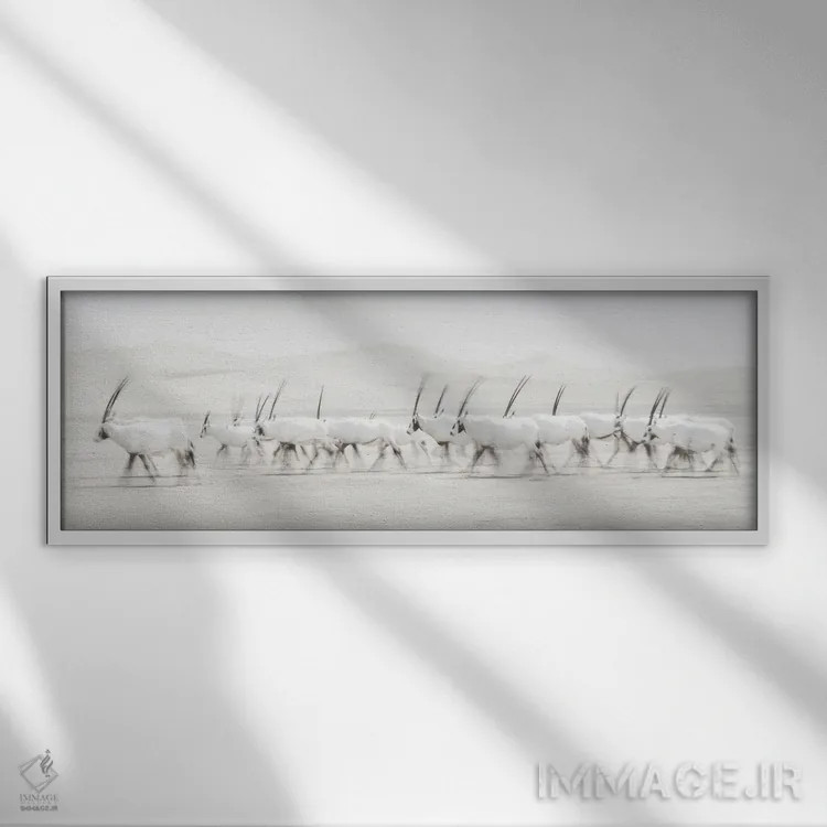 تابلو حرکت اثر دن نیوتن - نمای قابدار سفید