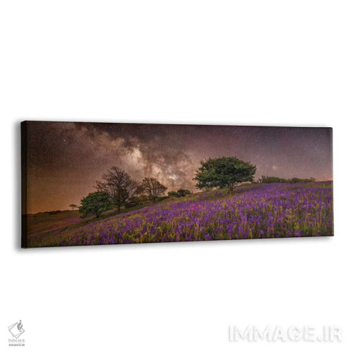 تابلو رویای بنفش (نما پانوراما) اثر چاد پاول - نمای پرسپکتیو محصول
