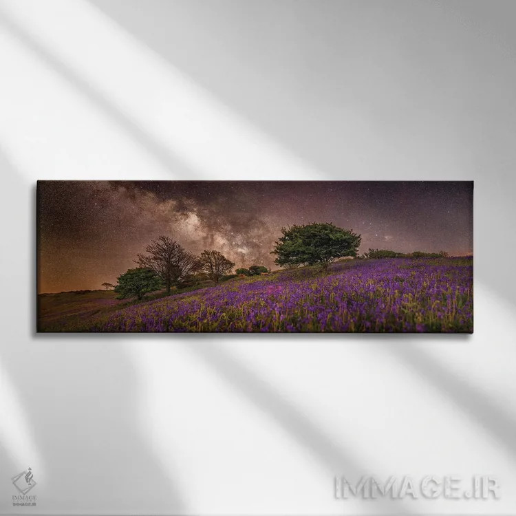 تابلو رویای بنفش (نما پانوراما) اثر چاد پاول - نمای روبهرو روی دیوار