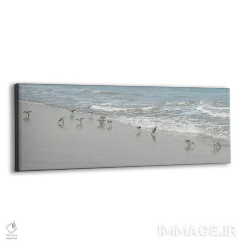 تابلو پرندگان ساحلی اثر ناتالی کارپنتری - نمای پرسپکتیو محصول