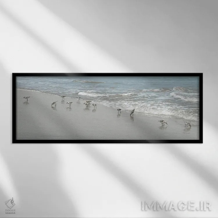 تابلو پرندگان ساحلی اثر ناتالی کارپنتری - نمای قابدار مشکی