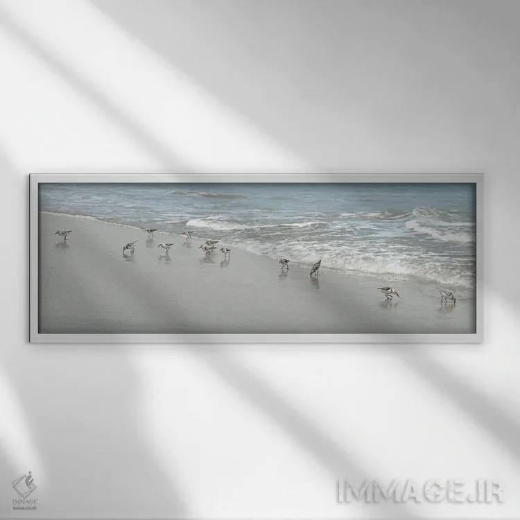 تابلو پرندگان ساحلی اثر ناتالی کارپنتری - نمای قابدار سفید