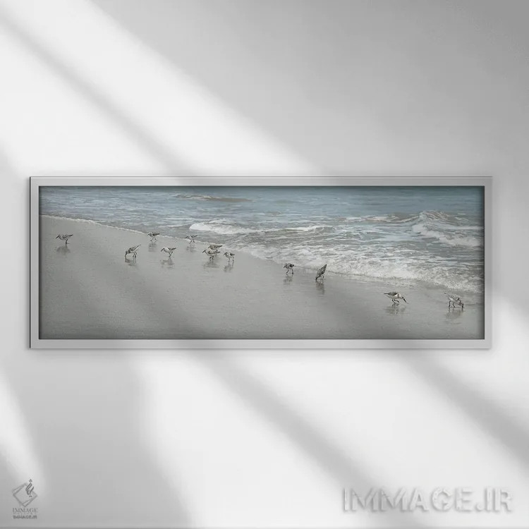تابلو پرندگان ساحلی اثر ناتالی کارپنتری - نمای قابدار سفید