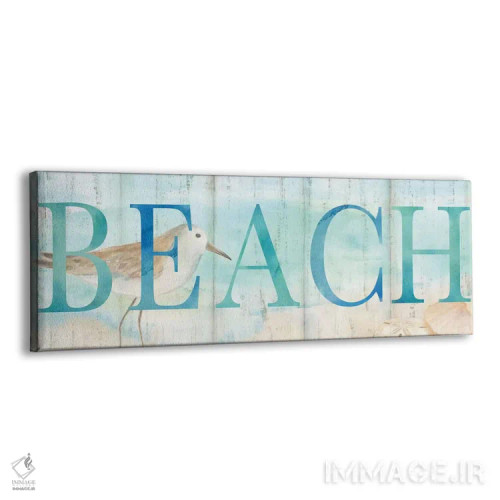 تابلو تابلوی پرنده شنرو در ساحل اثر سینتیا کولتر - نمای پرسپکتیو محصول