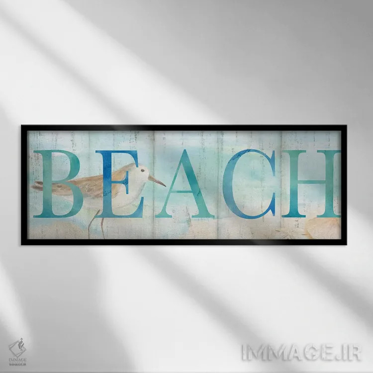 تابلو تابلوی پرنده شنرو در ساحل اثر سینتیا کولتر - نمای قابدار مشکی