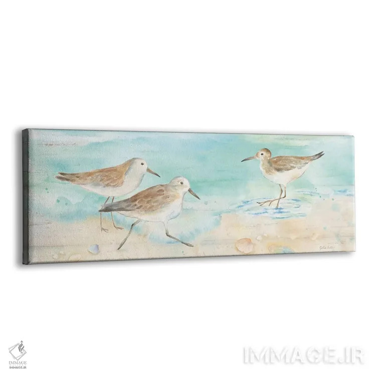 تابلو تابلوی ساحل ساندپایپر (نوعی پرنده ساحلی) اثر سینتیا کولتر - نمای پرسپکتیو محصول