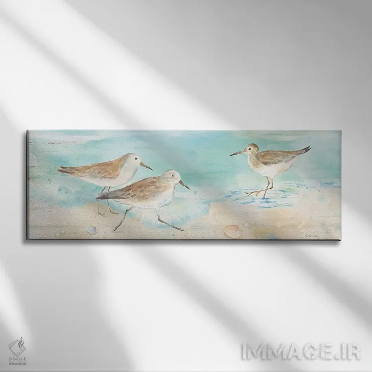 تابلو تابلوی ساحل ساندپایپر (نوعی پرنده ساحلی) اثر سینتیا کولتر - نمای روبهرو روی دیوار