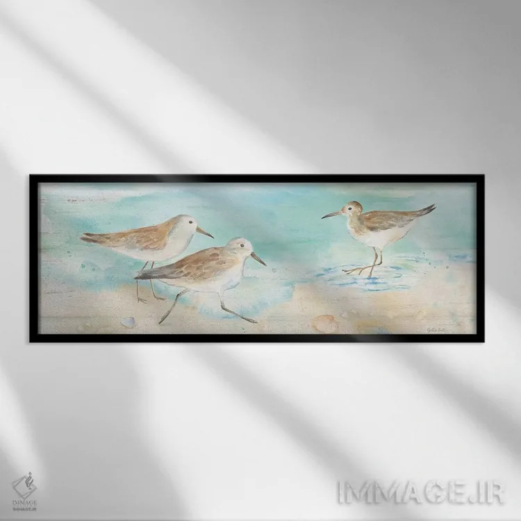 تابلو تابلوی ساحل ساندپایپر (نوعی پرنده ساحلی) اثر سینتیا کولتر - نمای قابدار مشکی