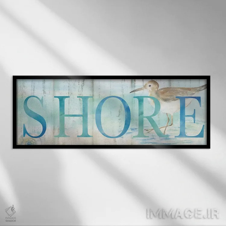 تابلو تابلوی ساندپایپر ساحلی اثر سینتیا کولتر - نمای قابدار مشکی