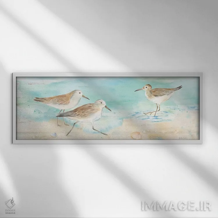 تابلو تابلوی ساحل ساندپایپر (نوعی پرنده ساحلی) اثر سینتیا کولتر - نمای قابدار سفید