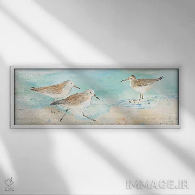 تابلو تابلوی ساحل ساندپایپر (نوعی پرنده ساحلی) اثر سینتیا کولتر - نمای قابدار سفید