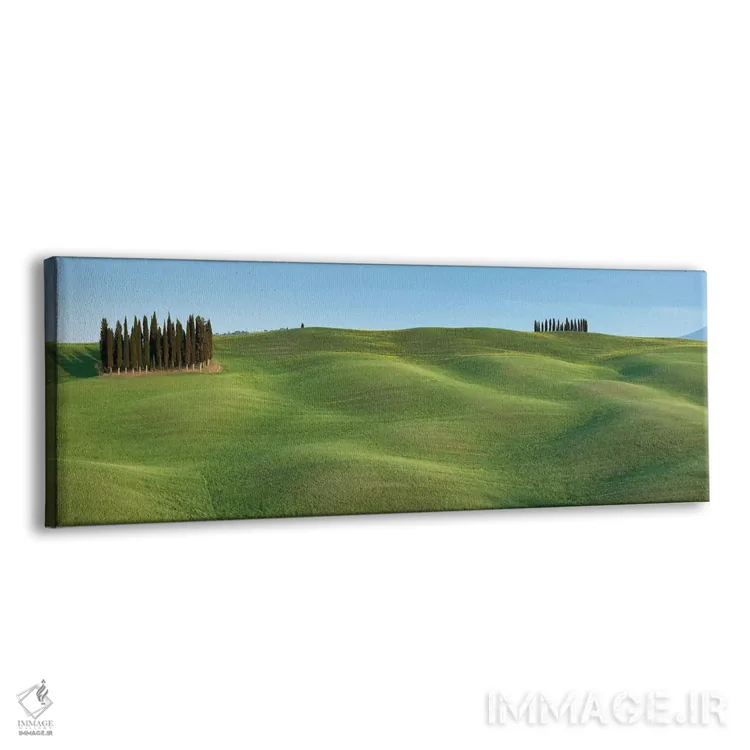 تابلو دسته توسکانی ۱ اثر دیوید کلاپ - نمای پرسپکتیو محصول