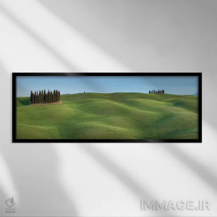 تابلو دسته توسکانی ۱ اثر دیوید کلاپ - نمای قابدار مشکی