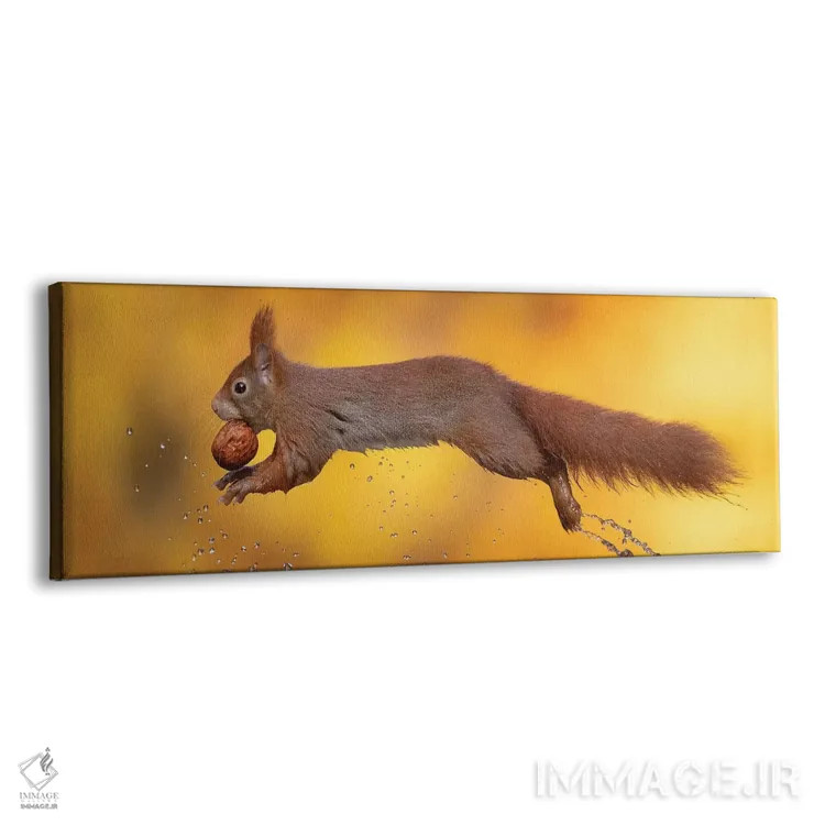 تابلو باله آبی اثر دیک ون دویْن - نمای پرسپکتیو محصول