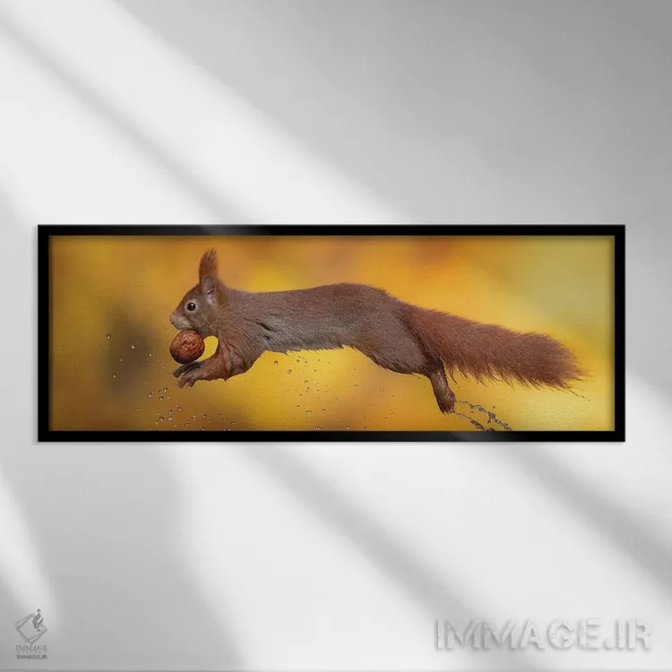تابلو باله آبی اثر دیک ون دویْن - نمای قابدار مشکی