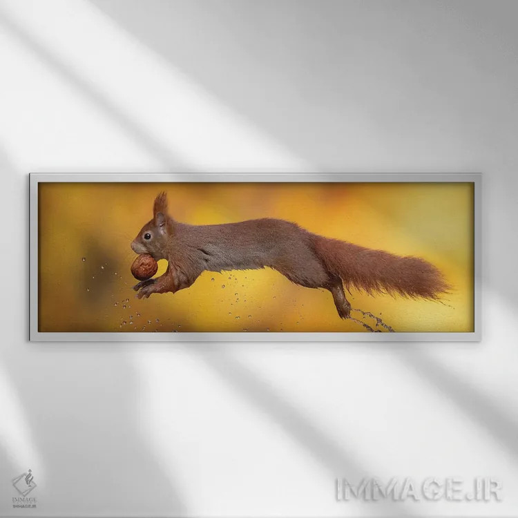 تابلو باله آبی اثر دیک ون دویْن - نمای قابدار سفید