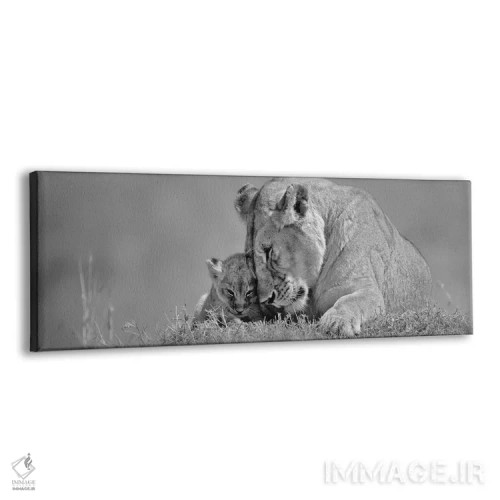 تابلو عشق شیر ماده اثر دانیتا دلیمنت - نمای پرسپکتیو محصول