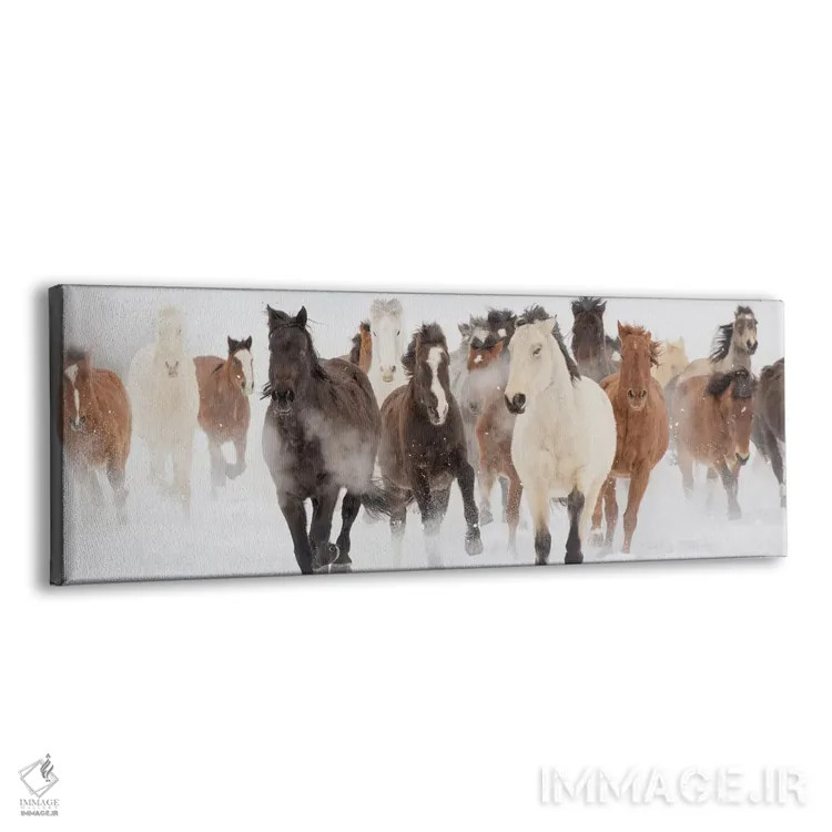 تابلو دویدن در چراگاه اثر دانیتا دلیمنت - نمای پرسپکتیو محصول