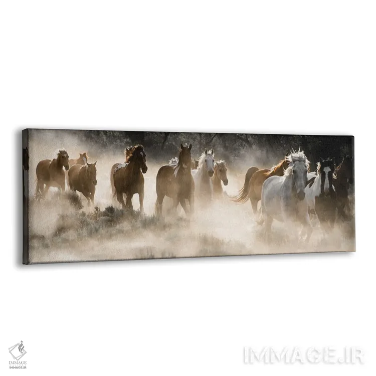 تابلو خاک به هوا کردن اثر دانیتا دلیمنت - نمای پرسپکتیو محصول