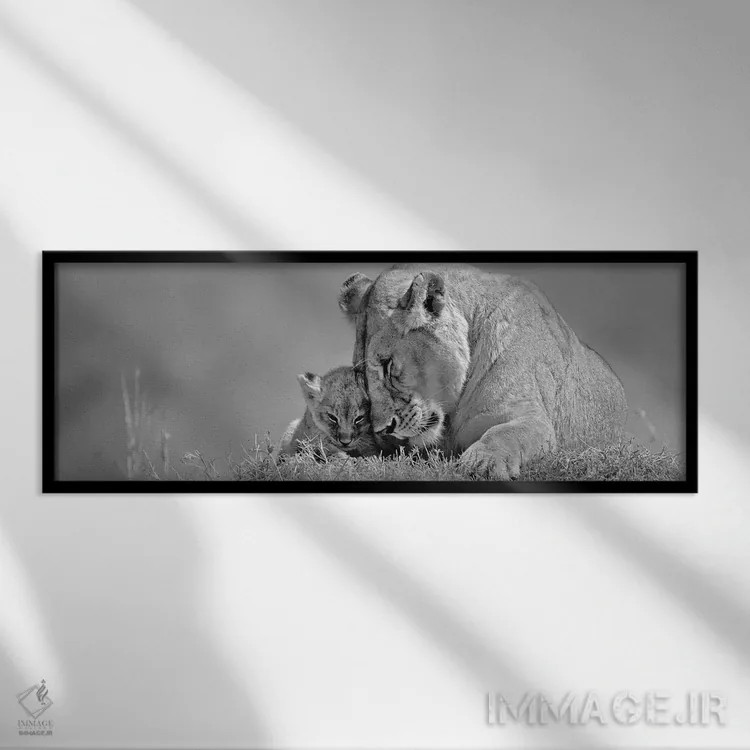 تابلو عشق شیر ماده اثر دانیتا دلیمنت - نمای قابدار مشکی
