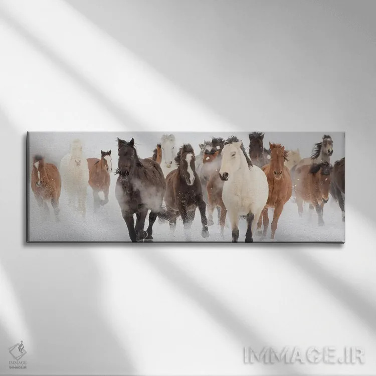 تابلو دویدن در چراگاه اثر دانیتا دلیمنت - نمای روبهرو روی دیوار