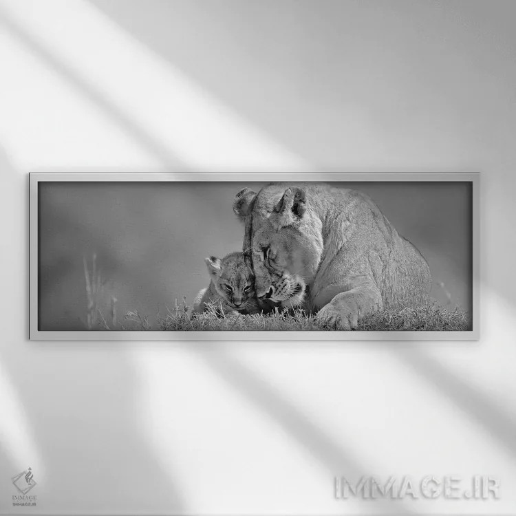 تابلو عشق شیر ماده اثر دانیتا دلیمنت - نمای قابدار سفید