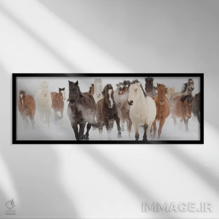 تابلو دویدن در چراگاه اثر دانیتا دلیمنت - نمای قابدار مشکی