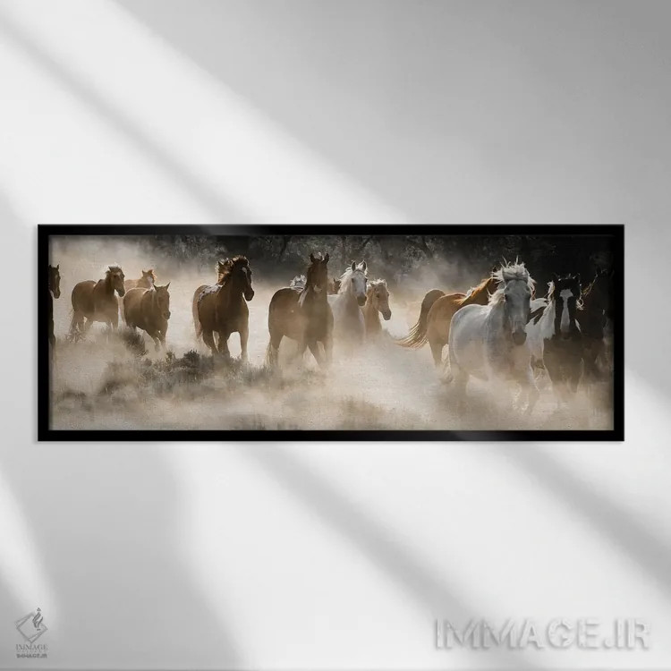 تابلو خاک به هوا کردن اثر دانیتا دلیمنت - نمای قابدار مشکی