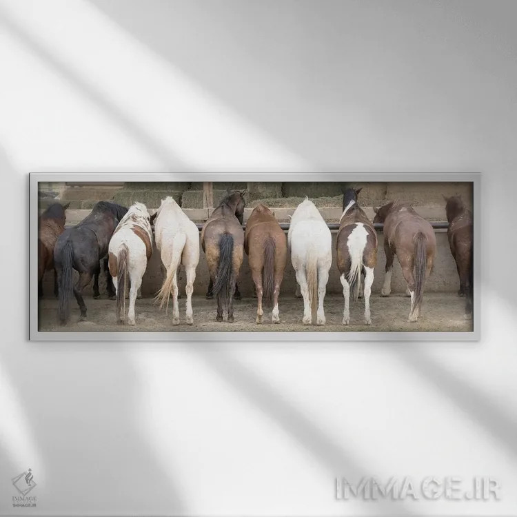 تابلو ساعت خوش علفدانی اثر دانیتا دلیمنت - نمای قابدار سفید