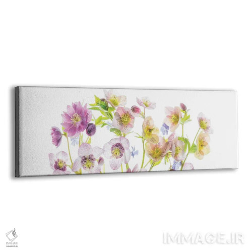 تابلو گلهای پانورامایی دو اثر دنیس فراتس - نمای پرسپکتیو محصول