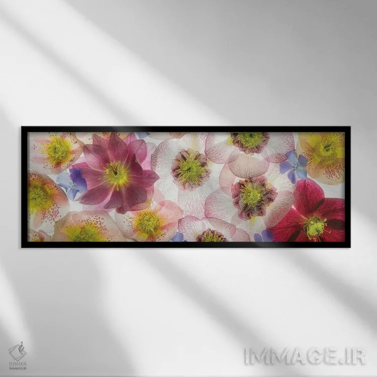 تابلو گلهای پانورامایی اثر دنیس فراتس - نمای قابدار مشکی
