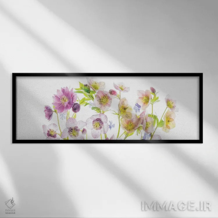 تابلو گلهای پانورامایی دو اثر دنیس فراتس - نمای قابدار مشکی