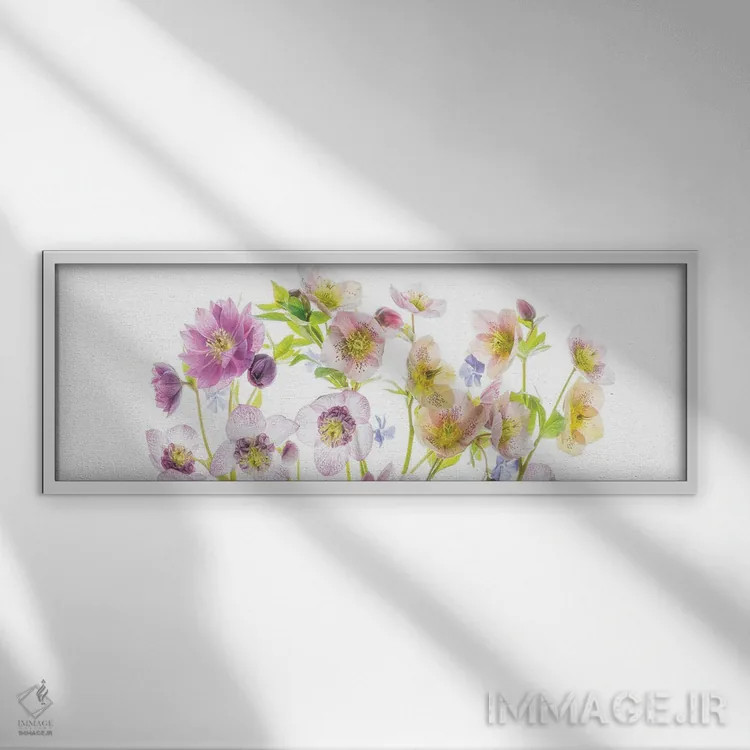 تابلو گلهای پانورامایی دو اثر دنیس فراتس - نمای قابدار سفید