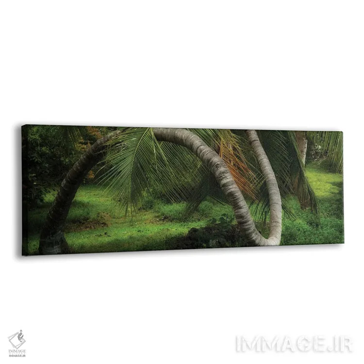 تابلو درخت پیچخوردهٔ پانورامایی اثر دنیس فراتس - نمای پرسپکتیو محصول