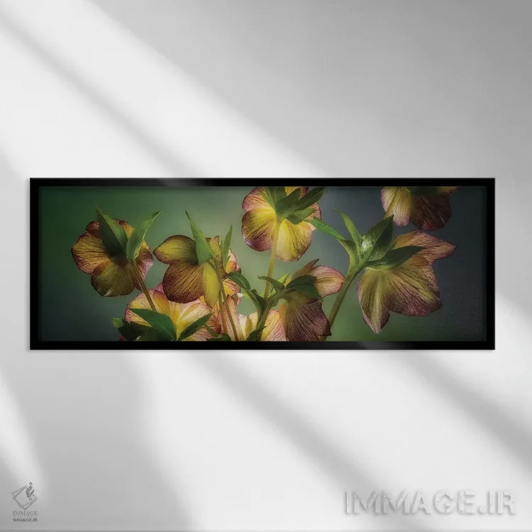 تابلو ترکیب هوستا (گونهای گیاه) اثر دنیس فراتس - نمای قابدار مشکی