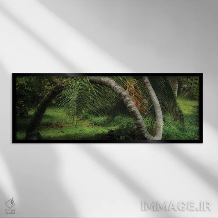 تابلو درخت پیچخوردهٔ پانورامایی اثر دنیس فراتس - نمای قابدار مشکی