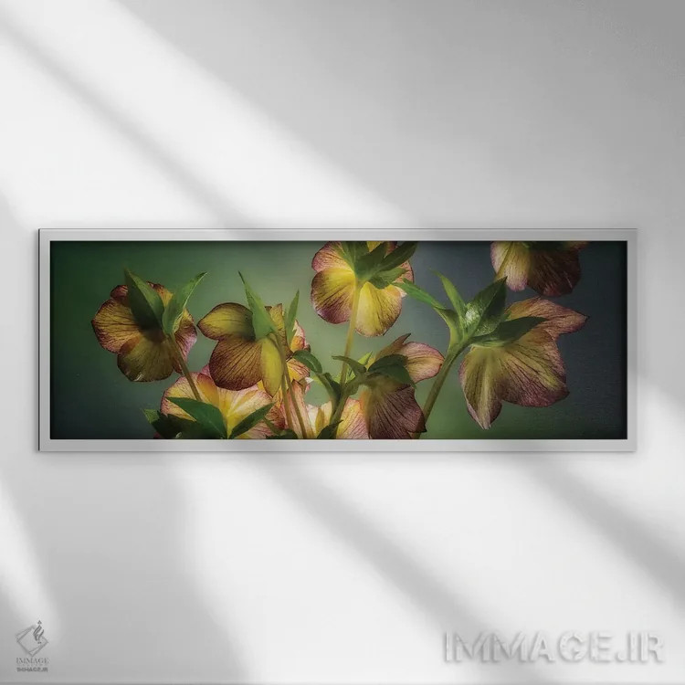 تابلو ترکیب هوستا (گونهای گیاه) اثر دنیس فراتس - نمای قابدار سفید