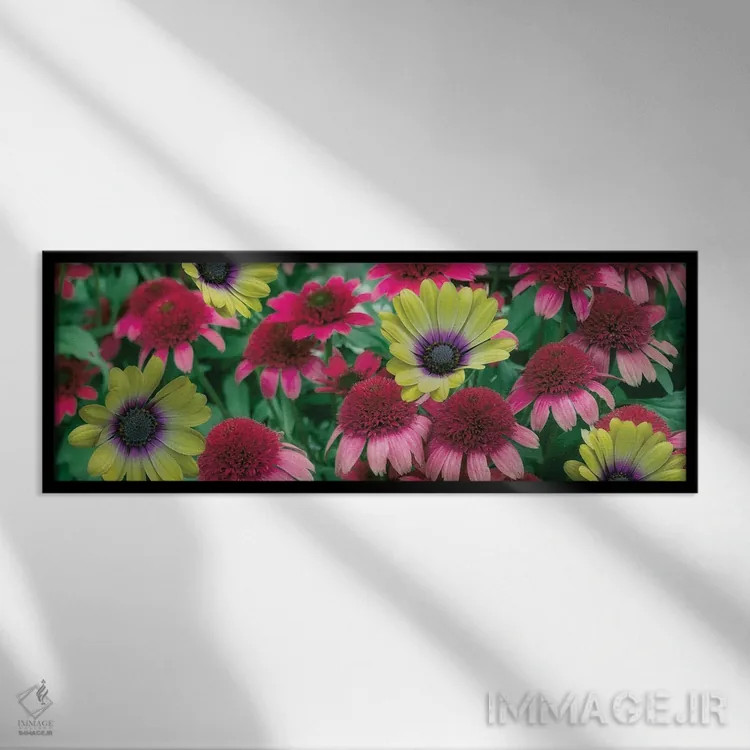 تابلو گلهای مخلوط پانورامایی اثر دنیس فراتس - نمای قابدار مشکی