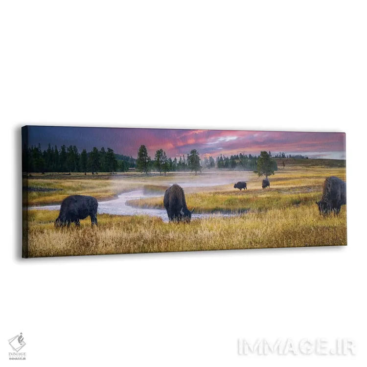 تابلو طلوع خورشید و بوفالو اثر دنیس فراتس - نمای پرسپکتیو محصول