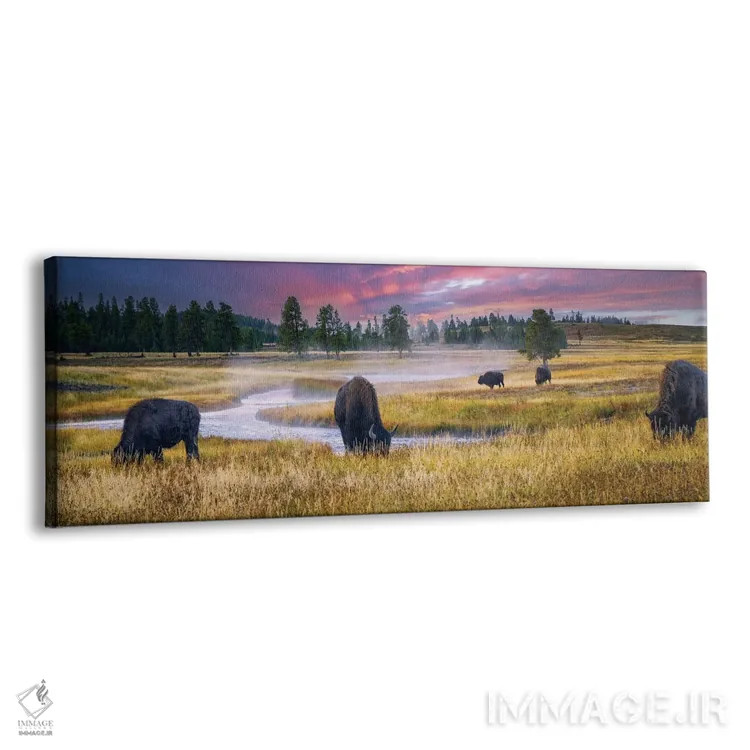 تابلو طلوع خورشید و بوفالو اثر دنیس فراتس - نمای پرسپکتیو محصول