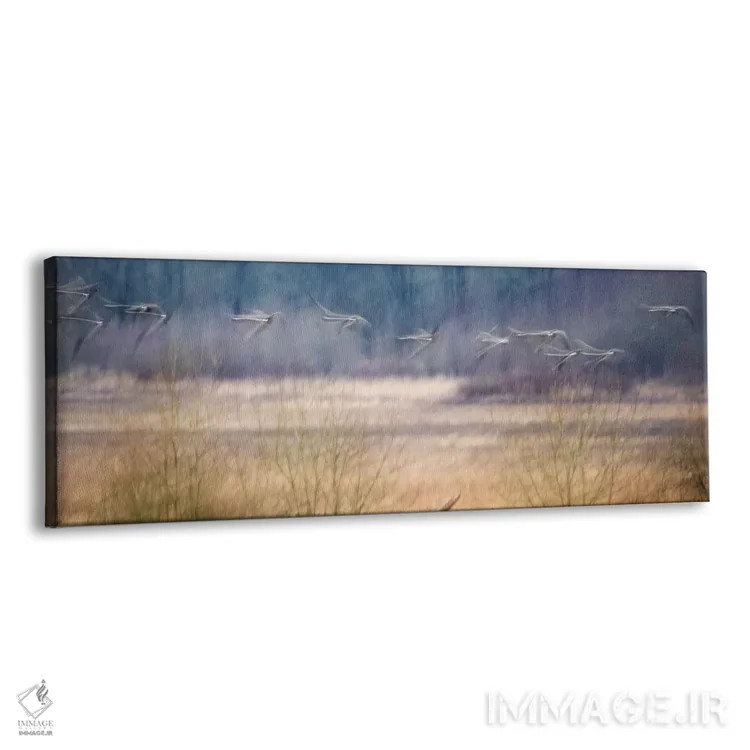 تابلو پرندگان شبحگونه اثر دنیس فراتس - نمای پرسپکتیو محصول