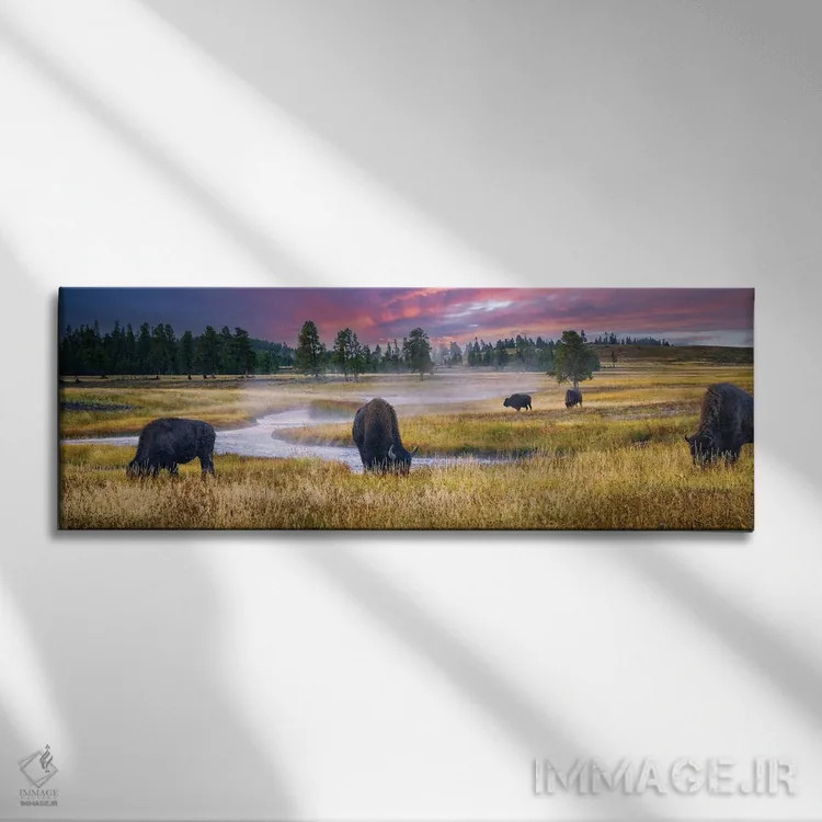 تابلو طلوع خورشید و بوفالو اثر دنیس فراتس - نمای روبهرو روی دیوار