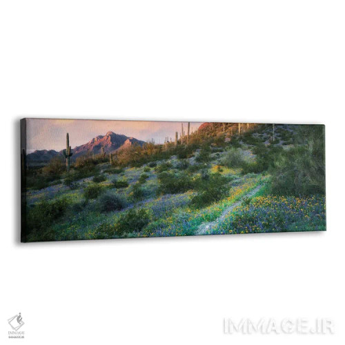 تابلو پانورامای مسیر چشمهٔ بیابانی اثر دنیس فراتس - نمای پرسپکتیو محصول