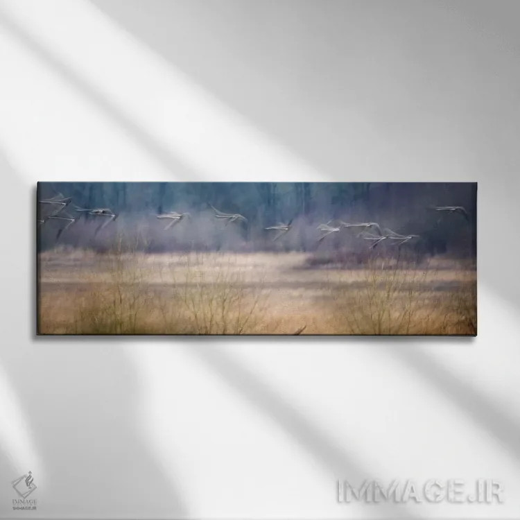 تابلو پرندگان شبحگونه اثر دنیس فراتس - نمای روبهرو روی دیوار