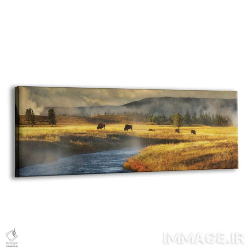 تابلو منظره پانورامای گاومیش و رودخانه اثر دنیس فراتس - نمای پرسپکتیو محصول