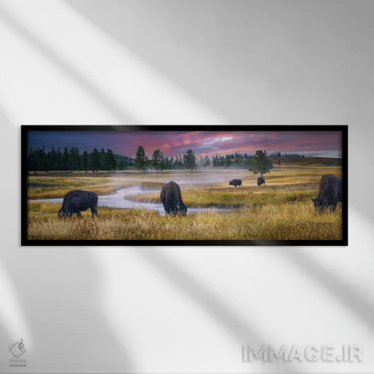 تابلو طلوع خورشید و بوفالو اثر دنیس فراتس - نمای قابدار مشکی