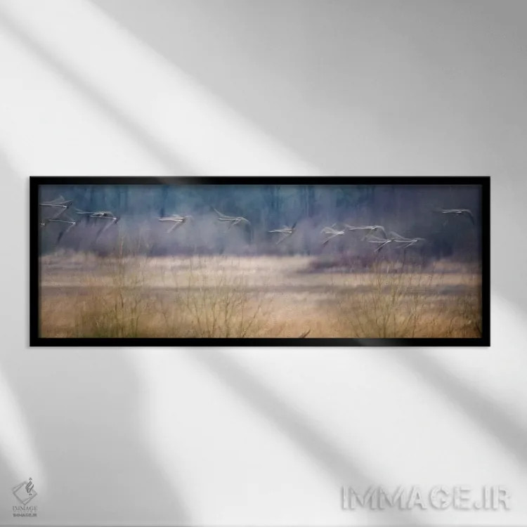 تابلو پرندگان شبحگونه اثر دنیس فراتس - نمای قابدار مشکی