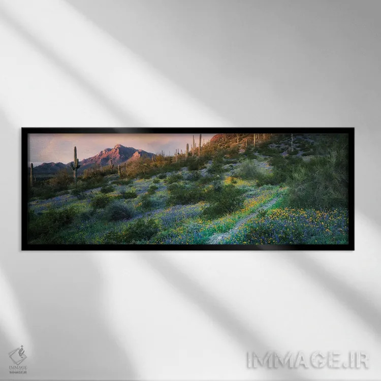 تابلو پانورامای مسیر چشمهٔ بیابانی اثر دنیس فراتس - نمای قابدار مشکی