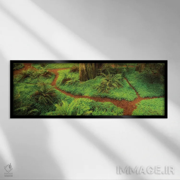 تابلو پانورامای مسیر ردوودها اثر دنیس فراتس - نمای قابدار مشکی