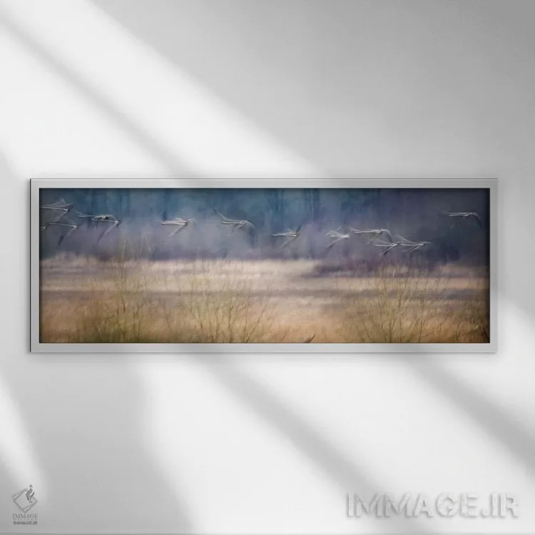 تابلو پرندگان شبحگونه اثر دنیس فراتس - نمای قابدار سفید